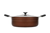 Geeta Biryani Pot 16 – Rich Biryani, Perfect Every