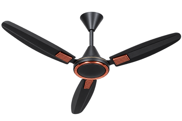 Geeta Rider Pro Brown / Ivory – Premium Airflow, Dual Tone