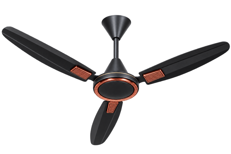 Geeta Rider Pro Brown / Ivory – Premium Airflow, Dual Tone