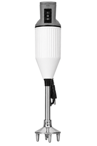 Geeta Hand Blender Regular (175W) – Blend Anywhere, Effortlessly